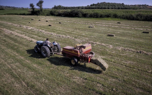 ΥΠΑΑΤ: Ολοκληρώθηκαν οι πληρωμές της πρώτης δόσης για νέους αγρότες