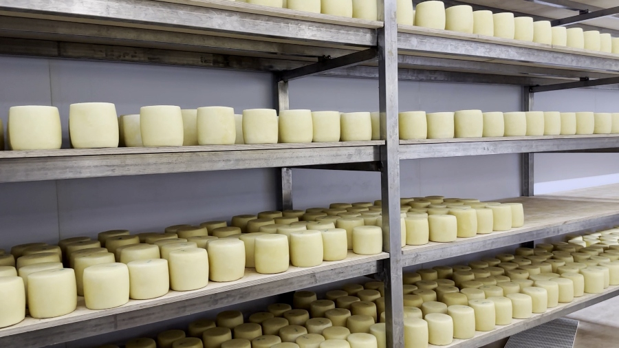 ΥΠΑΑΤ: Προϋπόθεση για τη διακίνηση ώριμων τυριών στη Λέσβο η αυστηρή τήρηση των μέτρων βιοασφάλειας