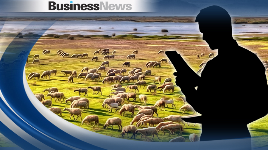 Νέο πλαίσιο για την κατανομή βοσκοτόπων - Οριστικό τέλος στην «τεχνική λύση», τι προβλέπει νέα ΚΥΑ