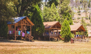 E-ΕΦΚΑ: Στις 19 Μαΐου ξεκινά η υποβολή αιτήσεων ασφαλισμένων για τη θερινή κατασκηνωτική περίοδο 2025