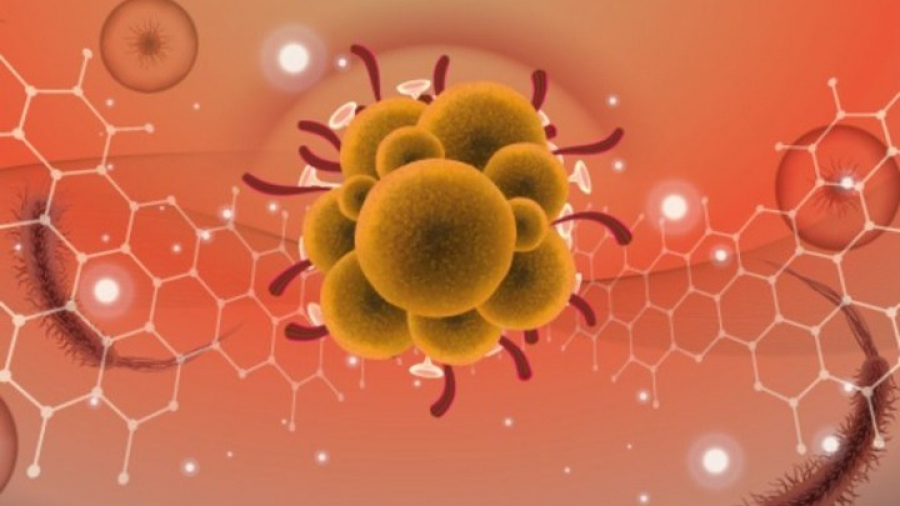 ΠΟΫ: “Μέτριος κίνδυνος” εξάπλωσης της ευλογιάς των πιθήκων παγκοσμίως