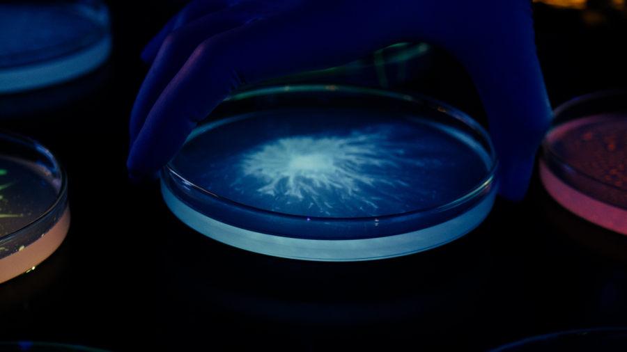 L'Oréal: Αποκτά την ερευνητική εταιρία Lactobio, ηγέτιδα στα προβιοτικά ακριβείας