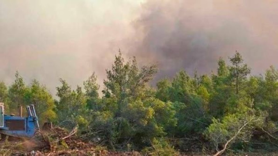 Φωτιές: 302 συλλήψεις για εμπρησμούς μέσα σε οκτώ μήνες – Οι 31 από πρόθεση
