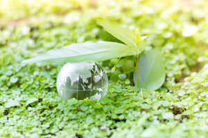 Υπουργείο Ανάπτυξης: Διοργάνωσε ενημερωτικές διαδικτυακές εκδηλώσεις για τις Πράσινες Δημόσιες Συμβάσεις