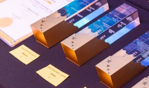 Το βραβείο στην κατηγορία Digital Opportunity / Inclusion (Ψηφιακή Ευκαιρία/Ένταξη) που απονεμήθηκε στο ΤΕΕ