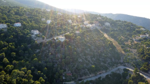 Συναγερμός για τα δάση: Συρρίκνωση 60% στα τελευταία 60 χρόνια