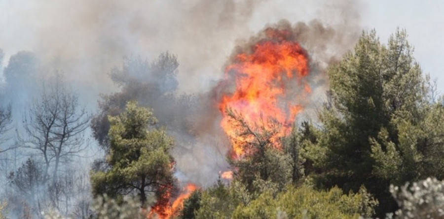 Φωτιά τώρα στην περιοχή Πλατανίτης Ναυπακτίας