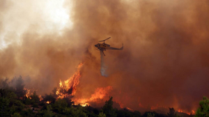 Φωτιά Βίλια: Οι φλόγες φτάνουν σε σπίτια στο Πανόραμα - Φόβοι για ισχυρότερους ανέμους
