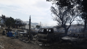 Κοινωφελές Ίδρυμα Αθανάσιος Κ. Λασκαρίδης: Συνδράμει στην αποκατάσταση της Πάρνηθας