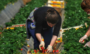 Τέλος επιτηδεύματος: Aπαλλαγή για αγρότες και αλιείς