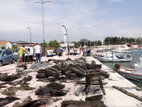 Interamerican: Συγκροτημένη περιβαλλοντική πολιτική και δράσεις