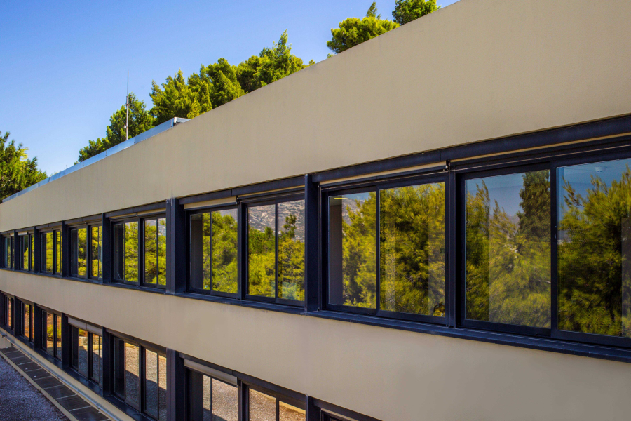 Deree: Υποτροφία από την οικογένεια Άλντους για φοιτητές με τυφλότητα