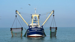 ΥΠΑΑΤ: Με μεγάλη συμμετοχή συνεχίζεται η διαβούλευση για το Π.Δ. για την ερασιτεχνική και αθλητική αλιεία