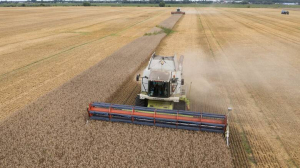 Ηandelsblatt: Οι εξαγωγές τροφίμων από την Ουκρανία σταματούν και πάλι