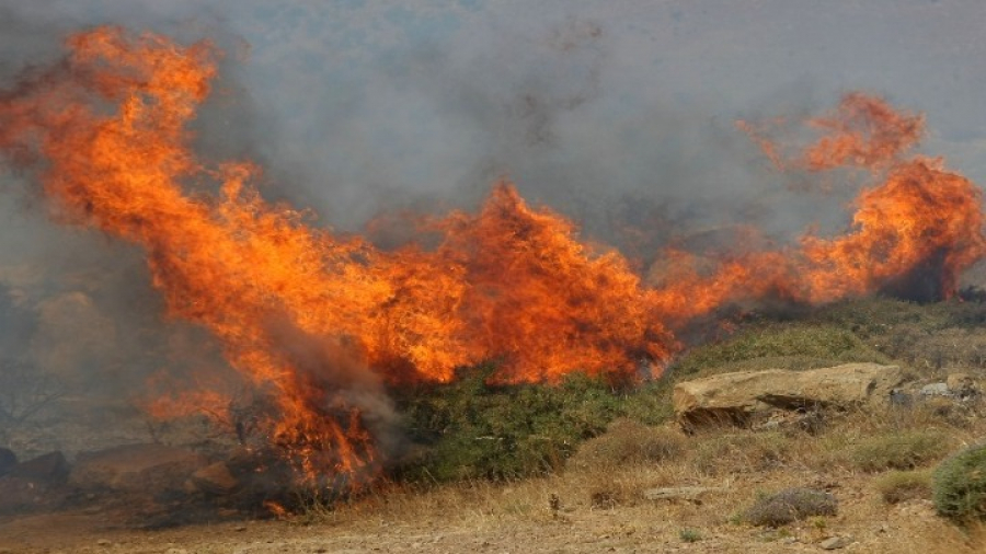 Πυρκαγιά στα Μέγαρα: Εκκένωση των οικισμών Ζάχουλη και Παπαγιαννέϊκα