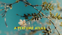 «Louis Vuitton: A Perfume Atlas»: Ταξίδι στον κόσμο των αρωμάτων
