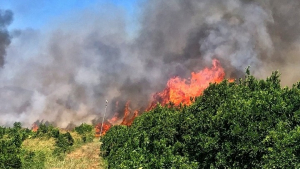 Σε ύφεση η πυρκαγιά στο Ρέθυμνο - Μάχη των πυροσβεστών στην Καλλιθέα Αχαΐας