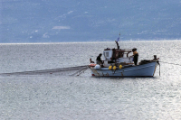 Ελληνική αλιεία: Στην ψηφιακή εποχή το πλαίσιο ελέγχου και λειτουργίας του κλάδου