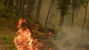 Κεφαλονιά: Κρατείται εποχικός πυροσβέστης που φέρεται να προκάλεσε δασικές πυρκαγιές