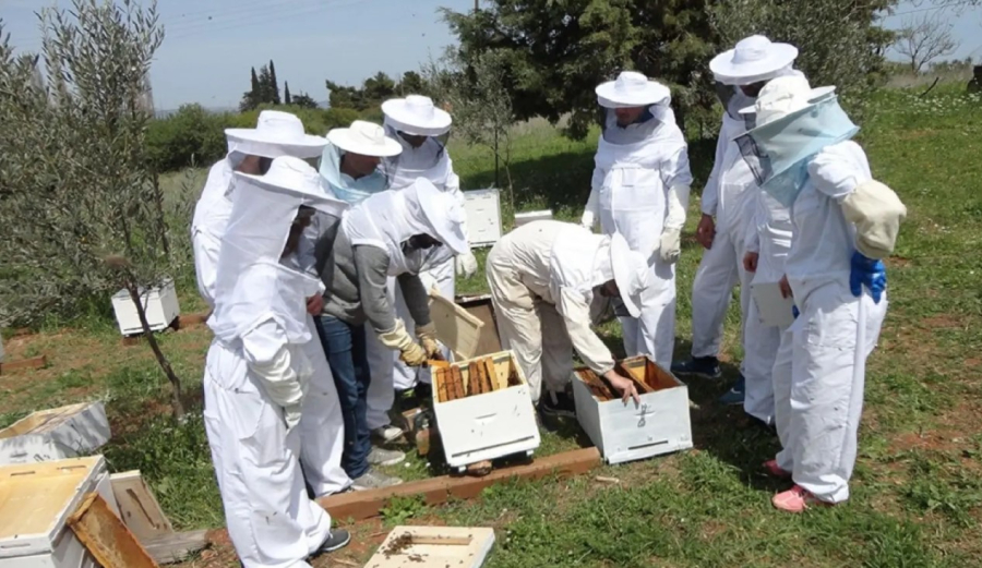 Μαστίχα, μελισσοκομία και πτηνοτροφία στο επίκεντρο των επιμορφώσεων των αγροτών και κτηνοτρόφων
