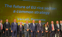 Τσιάρας: Το ευρωπαϊκό ρύζι είναι οικολογικός θησαυρός και εμπορική ευκαιρία