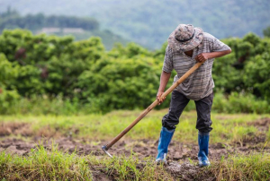 ΥΠΑΑΤ: Δεν θα δοθεί νέα παράταση στην υποβολή δηλώσεων ΟΣΔΕ 2023