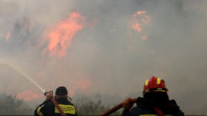 Πυρκαγιά στην Ηλεία - Ενισχύθηκαν οι δυνάμεις - Μήνυμα 112 για εκκενώση οικισμών
