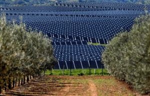 ΔΕΗ: Προς σύσταση Κοινοπραξίας με RWE Renewables για Ανανεώσιμες Πηγές Ενέργειας