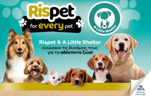 Rispet &amp; A Little Shelter ενώνουν τις δυνάμεις τους για τα αδέσποτα ζώα