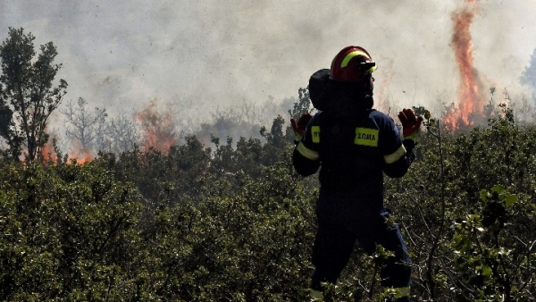 Συνολικά 378 δασικές πυρκαγιές την τελευταία εβδομάδα - 41 το τελευταίο 24ωρο