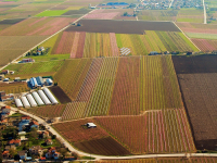 Υπεγράφη το πρόγραμμα για τη μεταποίηση-εμπορία και ανάπτυξη γεωργικών προϊόντων, προϋπολογισμού 135 εκατ. ευρώ