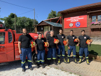 Interamerican: Κινητοποίηση για την προστασία των δασών