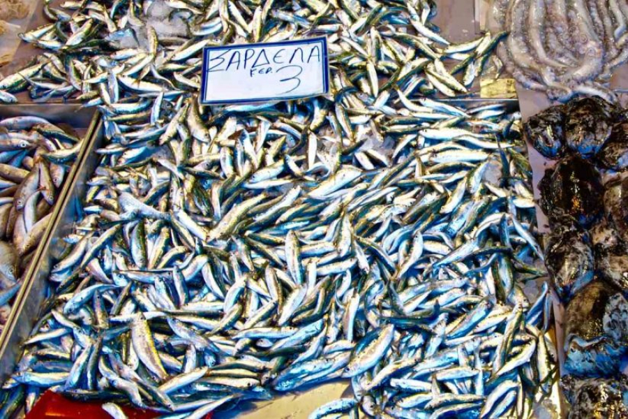 Ποιο νησιώτικο προϊόν είναι προ των πυλών για να γίνει το πρώτο αλιευτικό ΠΟΠ