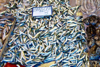 Ποιο νησιώτικο προϊόν είναι προ των πυλών για να γίνει το πρώτο αλιευτικό ΠΟΠ