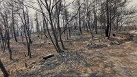Bloomberg: Στα 1,66 δισ. ευρώ το εκτιμώμενο κόστος των πυρκαγιών στην Ελλάδα