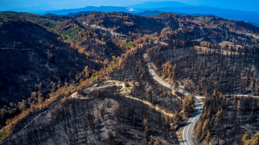 ΚΕΠΕ: Η ξυλώδης βιομάζα του δάσους της Β. Εύβοιας μπορεί να αξιοποιηθεί για παραγωγή ενέργειας