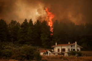 Σε 49 εκατ. ευρώ εκτιμώνται οι αποζημιώσεις για τις δασικές πυρκαγιές του καλοκαιριού του 2023