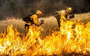 Πορτογαλία: Εκατοντάδες πυροσβέστες προσπαθούν να σβήσουν πυρκαγιά στην Κασκάις