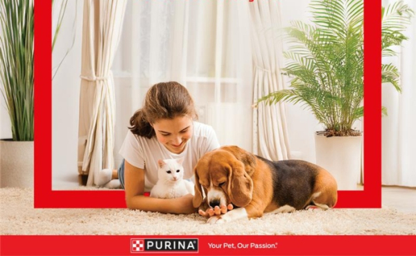 Purina: Προσέφερε συνολικά 9 τόνους τροφής για σίτιση αδέσποτων ζώων το 2024