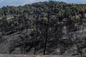 Γεράνεια Όρη: Η πυρκαγιά ήταν η σημαντικότερη δασική της τελευταίας δεκαετίας καίγοντας 52.000 στρέμματα