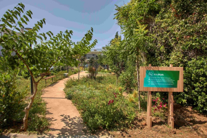 Νέο ΔΕΗ Mini Park στον Δήμο Αμαρουσίου