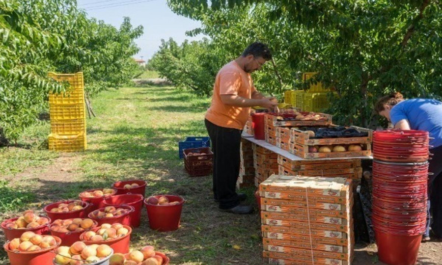 Τα αγροδιατροφικά προϊόντα στην "προμετωπίδα" των ελληνικών εξαγωγών