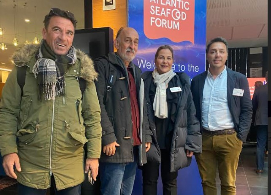 Μέλη του ΔΣ της ΕΛΟΠΥ