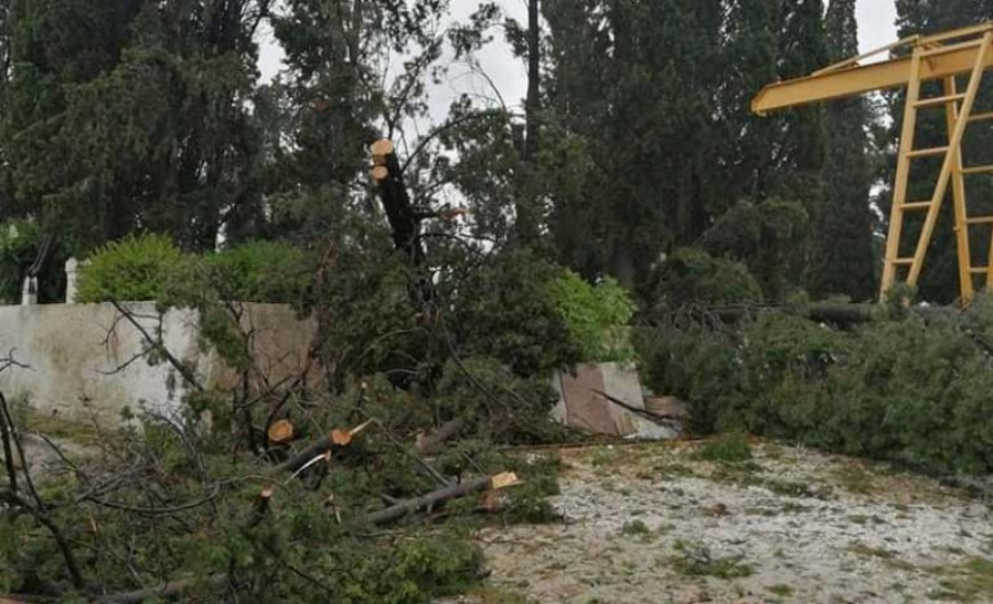 COP26: Ένα δισ. ευρώ από την ΕΕ για τον τερματισμό αποψίλωσης των δασών