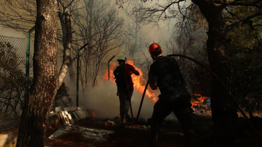 ΕΑΕΕ: 235 ασφαλισμένες ζημιές από τις δασικές πυρκαγιές 17-28 Ιουλίου 2023