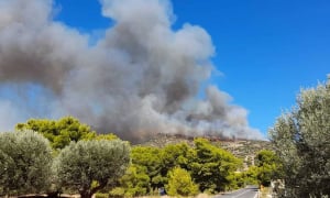 Πυρκαγιά στην Εύβοια: Αναζωπύρωση στο χωριό Τρούπι