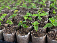 Tetra Pak®: Επένδυση €30 εκατ. για συλλογή και ανακύκλωση χάρτινων συσκευασιών παγκοσμίως