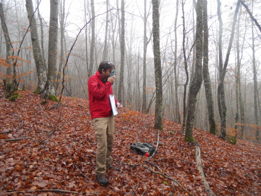 Ποιοί κάνουν ουρά για τα ''έξυπνα'' δάση
