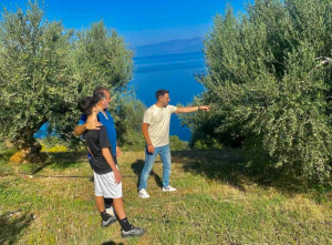Ποιος Έλληνας manager πολυεθνικής έχει ελαιόδενδρα και εποπτεύει τη σοδειά του