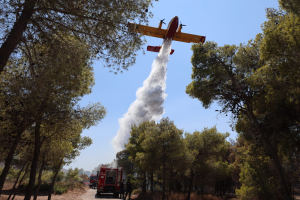 Ακραίος κίνδυνος πυρκαγιάς και σήμερα σε Αττική, Βοιωτία και Εύβοια